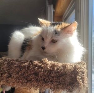 Meet your Posher, Karra